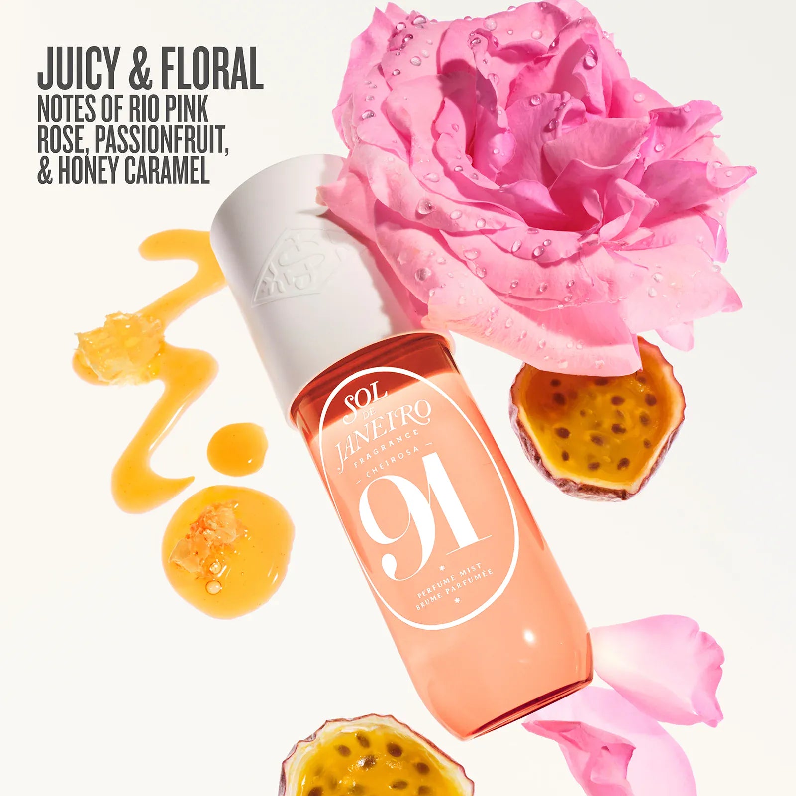 Rosa Charmosa? Duo | Online Exclusive - Image 6