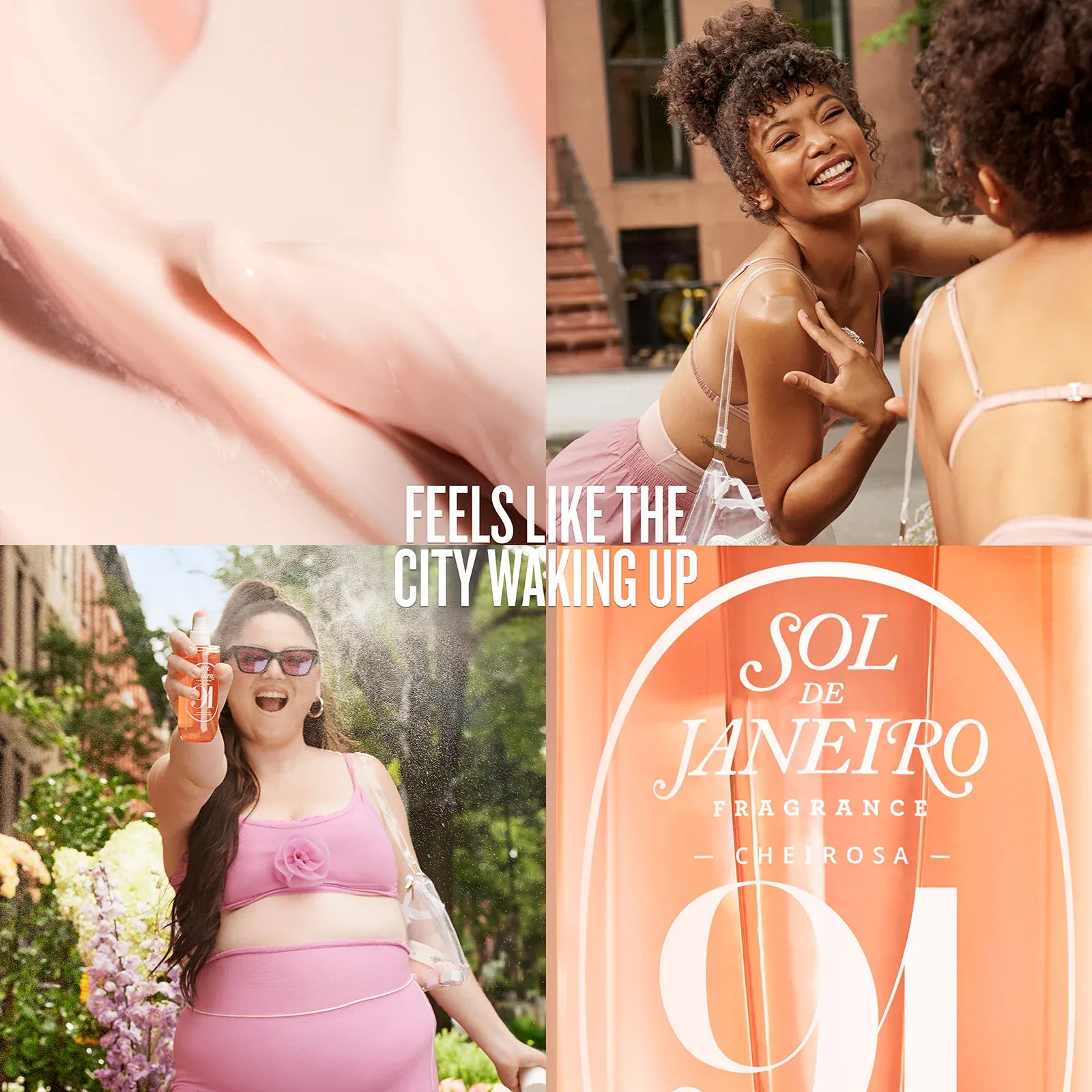 Rosa Charmosa? Duo | Online Exclusive - Image 9