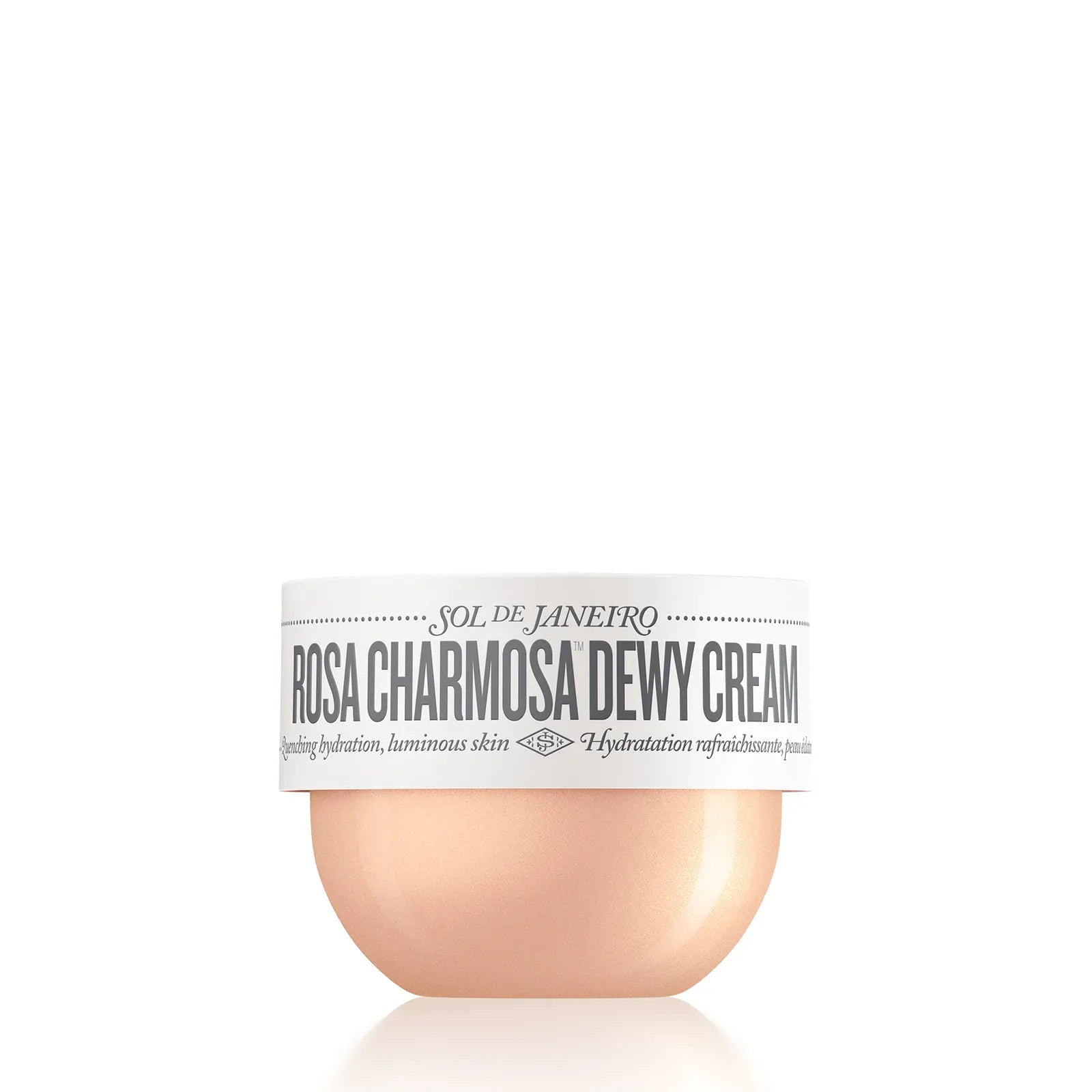 Rosa Charmosa? Dewy Cream - Image 14